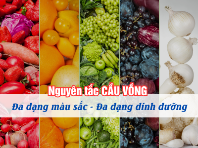 Khám phá nguyên tắc CẦU VỒNG cho người ăn chay: Đa dạng màu sắc - Đa dạng dinh dưỡng Khám phá nguyên tắc CẦU VỒNG cho người ăn chay: Đa dạng màu sắc - Đa dạng dinh dưỡng